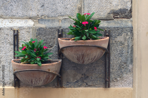 Close-up view two small flower?s pots with nice blooming flowers. Decoration of stone wall of residential house. Traditional Sicilian street with residential house in Cefalu. Nature concept © evgenij84