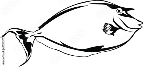 Photos Cartoon Black and White Isolated Illustration Vector Of A Dory Fish
