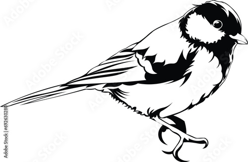 Cartoon Black and White Isolated Illustration Vector Of A Small Great Tit Bird