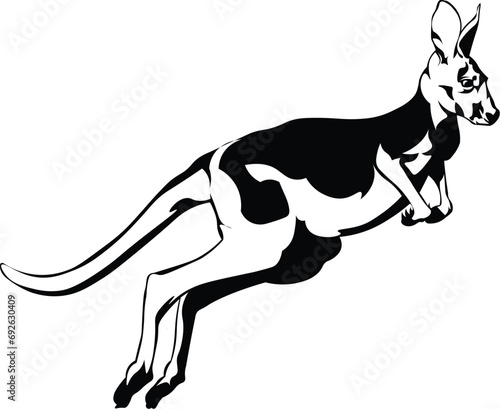 Cartoon Black and White Isolated Illustration Vector Of A Kangaroo Jumping