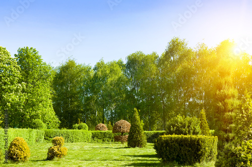 Fototapeta Naklejka Na Ścianę i Meble -  Beautiful garden with flowering trees and shrubs and a lawn.