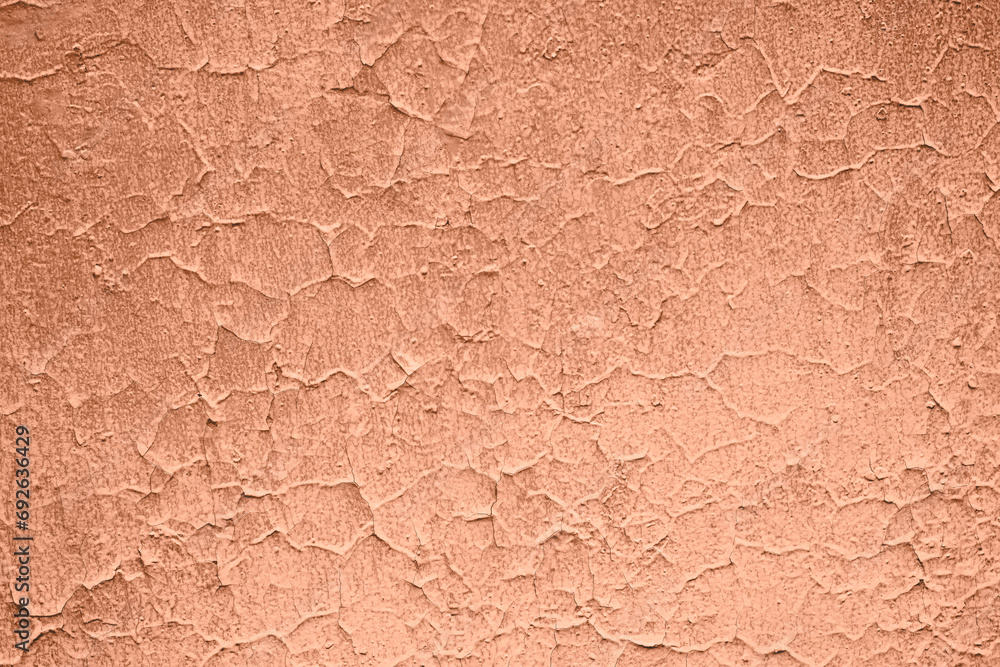 Peach Fuzz toned colour grunge decorative wall background. Art rough stylized texture banner trendy color 2024. Grunge Peach Fuzz color texture Peach Fuzz toned colour grunge decorative wall background. Art rough stylized texture banner trendy color 2024. Grunge Peach Fuzz color texture