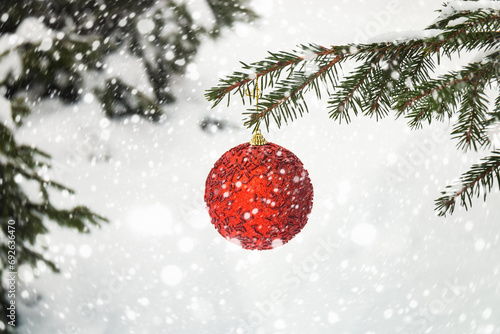 Red christmas ball  hanging on fir tree branch in snow winter forest.