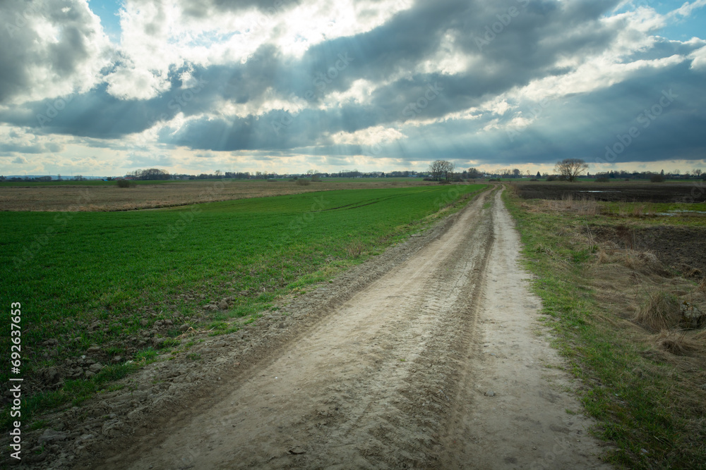 Sandy rural road next to green farmland and clouds on the sky, April day Sandy rural road next to green farmland and clouds on the sky, April day