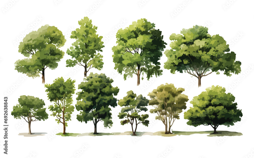Set of watercolor trees, a graphic resource for landscape architects, vector, and EPS - obrazy, fototapety, plakaty 