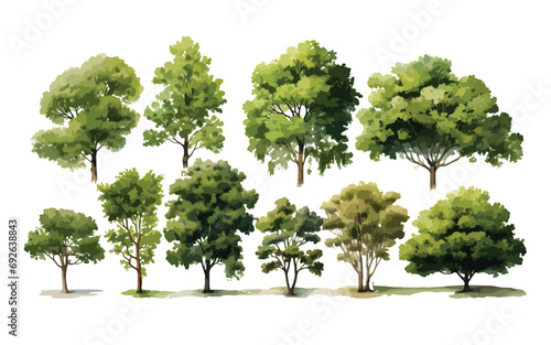 Set of watercolor trees, a graphic resource for landscape architects, vector, and EPS