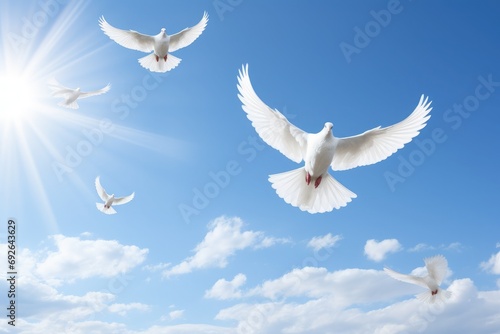 white doves flying in blue sky photo