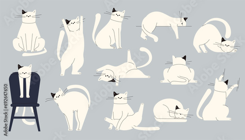 Cats body language. Cute kitten emotions, cartoon domestic cats showing emotions and mood, pet feline characters emotion and mood. Vector isolated set © Tartila
