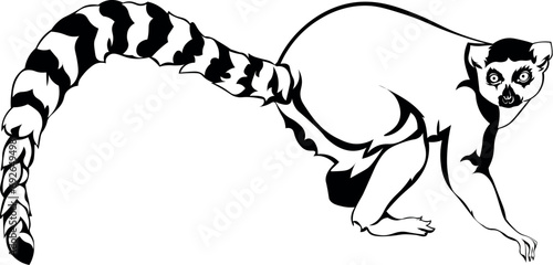 Cartoon Black and White Isolated Illustration Vector Of A Lemur Monkey