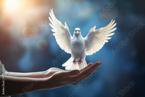 Releasing a white dove into the wild. International day of peace or world peace day concept.