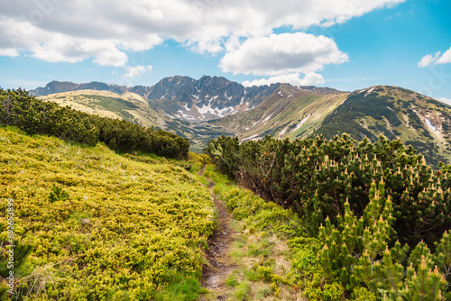 Mountain Tatras landscape. View from ridge of the Low Tatras. Hiking from certovica pass to chopok peak in Low Tatras, Liptov, Slovakia photo