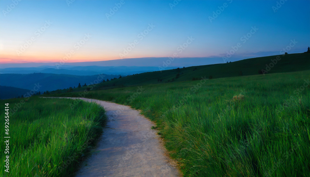 Picturesque winding path through a green grass field in at sunset