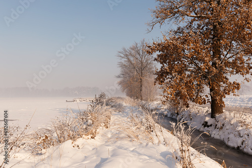 Zimowa aleja w  r  d drzew  mglisty   wit  Winter avenue among trees  foggy dawn 