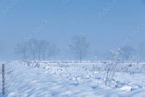Krajobraz zimowy, mglisty świt (Winter landscape, foggy dawn) 