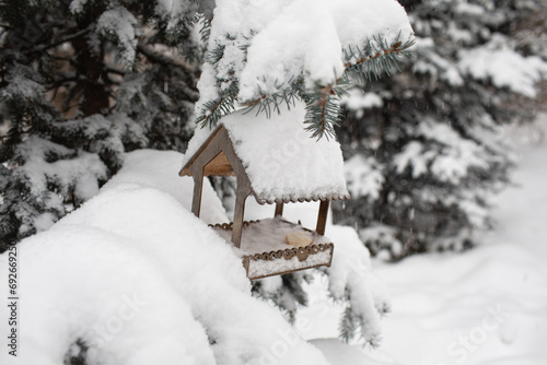 winter bird feeder