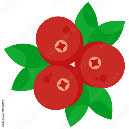 illustration of ripe cherry