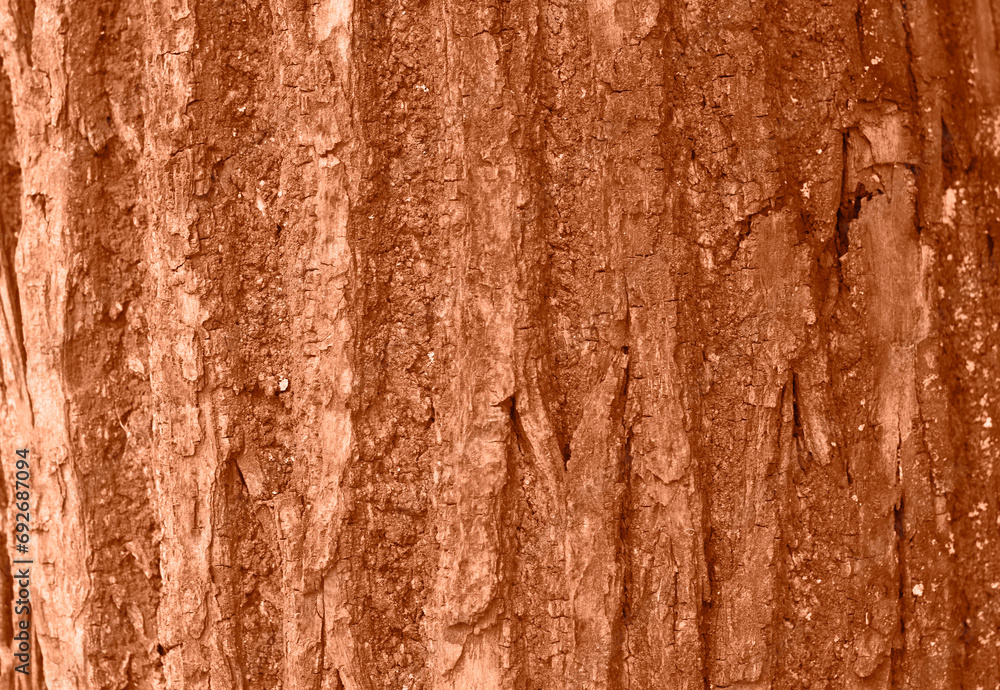 Tree bark texture peach color. Tree bark texture full frame in nature. Monochrome background. Trendy colour 2024