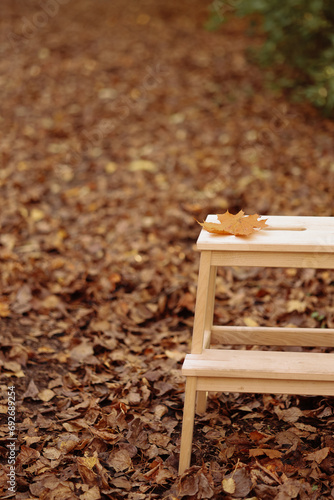 Peaceful autumnal park scene with an empty wooden bench. Concept: Ideal for promoting relaxation, mindfulness, and nature appreciation. Copy space available.