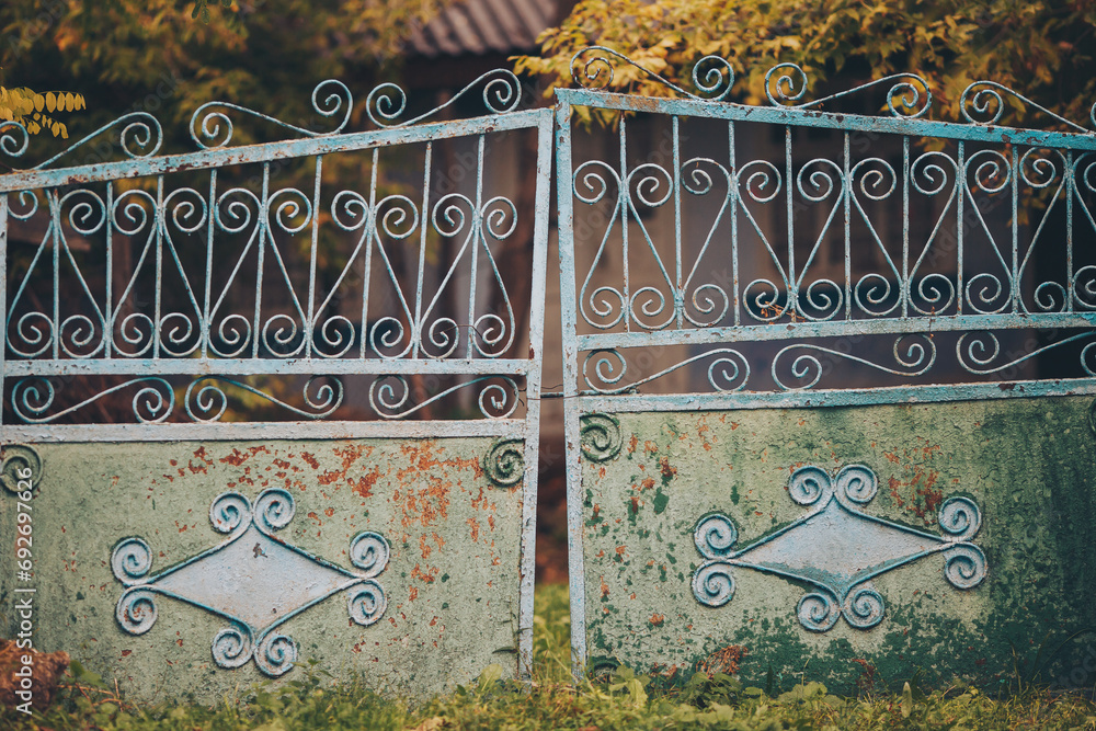Green rusty metal gate in the yard. Old metal gate with a gate to the