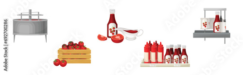 Tomato Ketchup Production and Manufacturing Process Vector Set