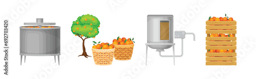 Sweet Orange Juice Production Stages Vector Illustration Set