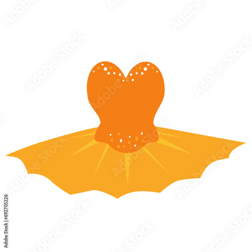 Ballet tutu. Orange tutu with beads