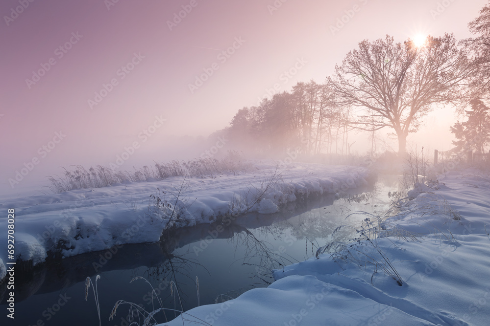 Krajobraz zimowy, mglisty świt (Winter landscape, foggy dawn) - obrazy, fototapety, plakaty 