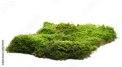 Green moss isolated on white background and texture photo