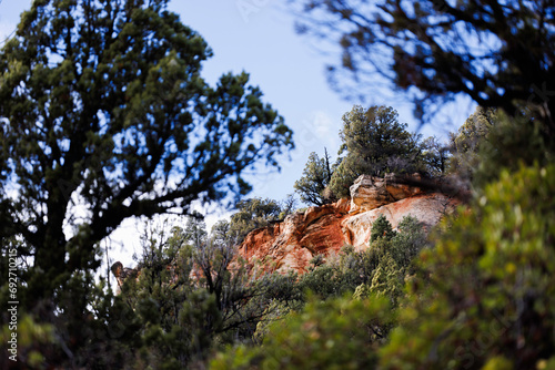 red rocks behind green trees, zion national park, utah