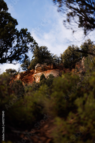green trees and red rocks, zion national park, utah