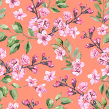 Watercolor hand painted sakura cherry blossom flowers illustration seamless pattern - spring wrapping paper, fabrics and surface design, wallpaper