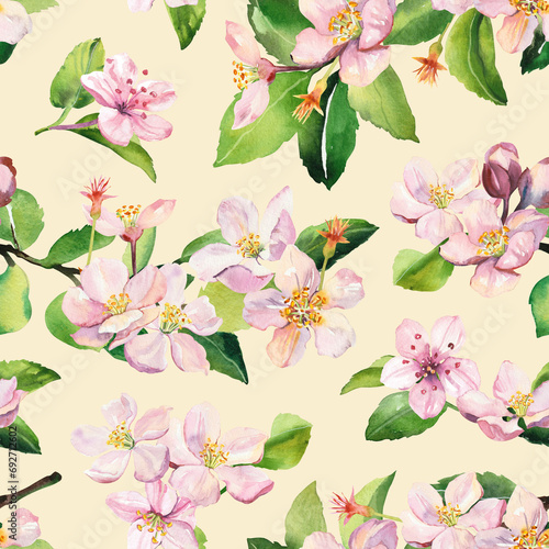 Watercolor hand painted sakura cherry blossom flowers illustration seamless pattern - spring wrapping paper  fabrics and surface design  wallpaper