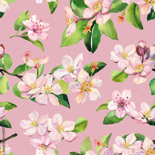 Watercolor hand painted sakura cherry blossom flowers illustration seamless pattern - spring wrapping paper  fabrics and surface design  wallpaper