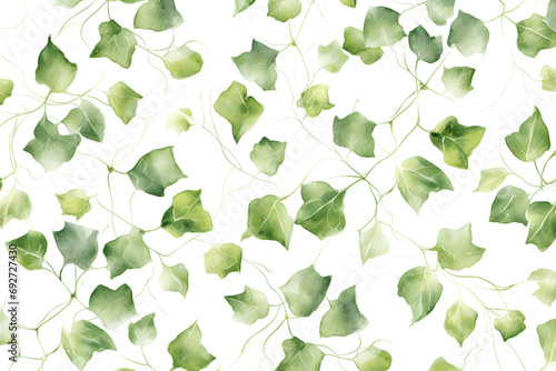 Watercolor ivy leaves and vines pattern on white background