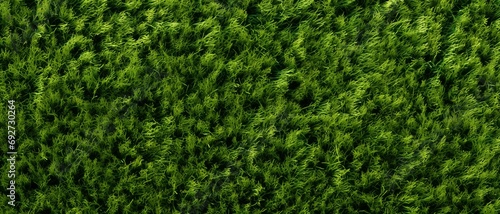green Grass texture background Soccer field in football stadium background  can be used for printed materials like brochures  flyers  business cards.  