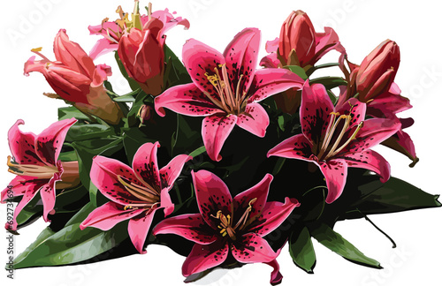 Bouquet of pink Stargazer flower 