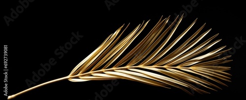 a gold palm leaf is seen against a black background