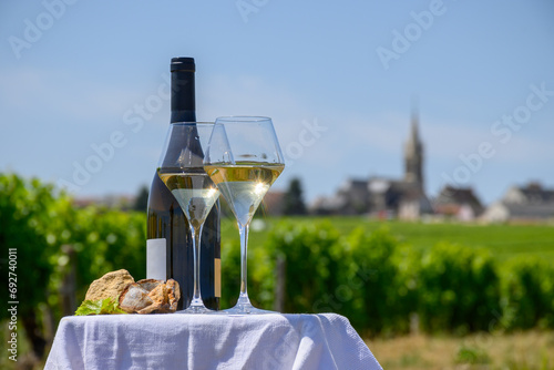 Glasses of white wine from vineyards of Pouilly-Fume appelation and example of flint pebbles soil, near Pouilly-sur-Loire, Burgundy, France photo