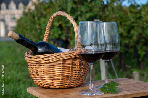Canvas Print Tasting of Bordeaux blended red wine on green vineyards with rows of red Caberne