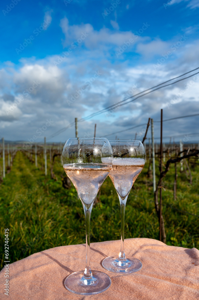 Obraz premium Tasting of grand cru sparkling rose wine with bubbles champagne on spring vineyards of Oger, small village with grand cru vineyards, France.