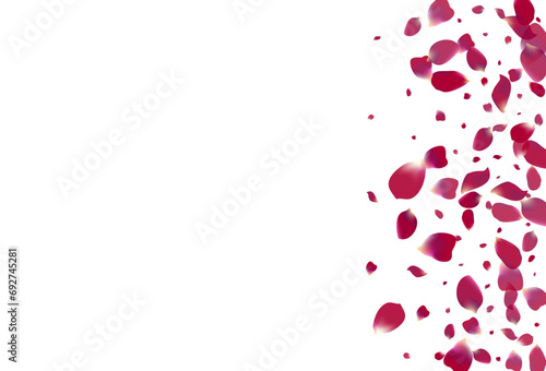 Delicate Cherry Flying Vector White Background.