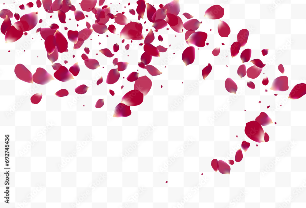 Pink Flower Fall Vector Transparent Background. Pink Flower Fall Vector Transparent Background.