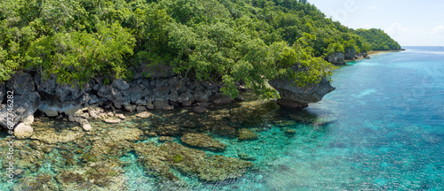A healthy coral reef fringes a lush, tropical island near Ambon, Indonesia. This remote, tropical area harbors extraordinary marine biodiversity.