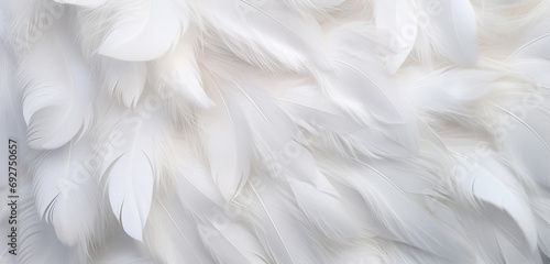 A high-resolution image showcasing a 3D wall texture with an elegant, white swan feather pattern. 8k, © Creative artist1