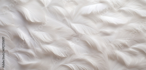 A high-resolution image showcasing a 3D wall texture with an elegant, white swan feather pattern. 8k, photo