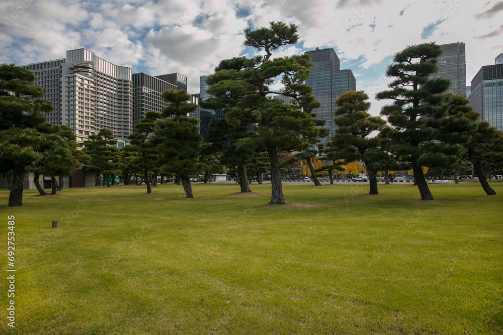 Tokyo cityscape Tokyo cityscape
