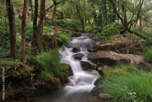 Small river among trees and vegetation  with small waterfall  motion blur