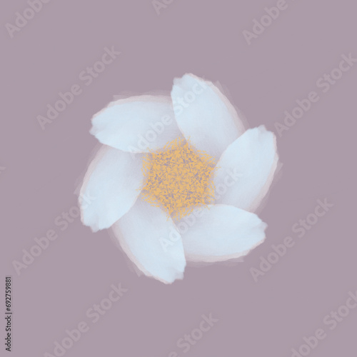 pattern white flower on pink background, gold middle