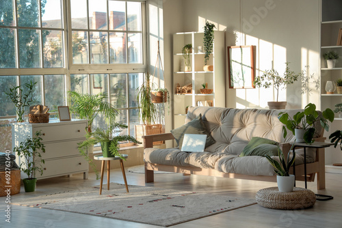 Interior of light living room with green plants  sofa and shelf unit