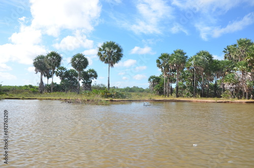 Parna  ba Piau   Barco Passeio